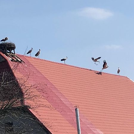 Ferienwohnung Storchenhof Eutin Exterior foto